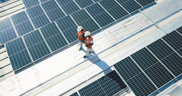 Best Roof Moss and Algae Removal  in Teviston, CA